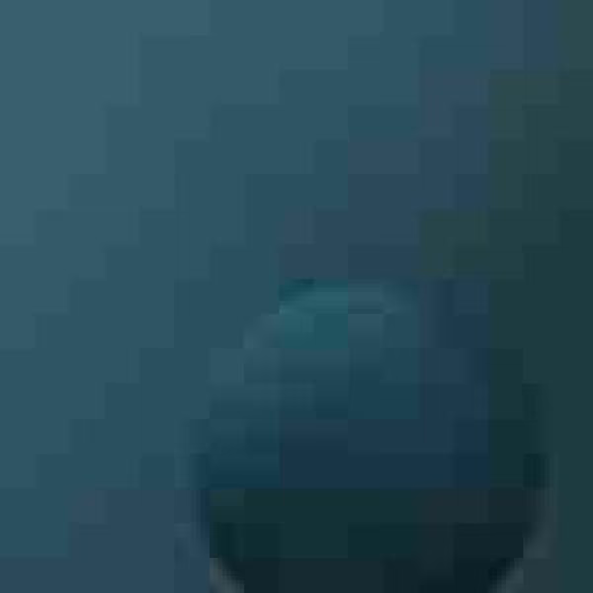 Orbit 409019358