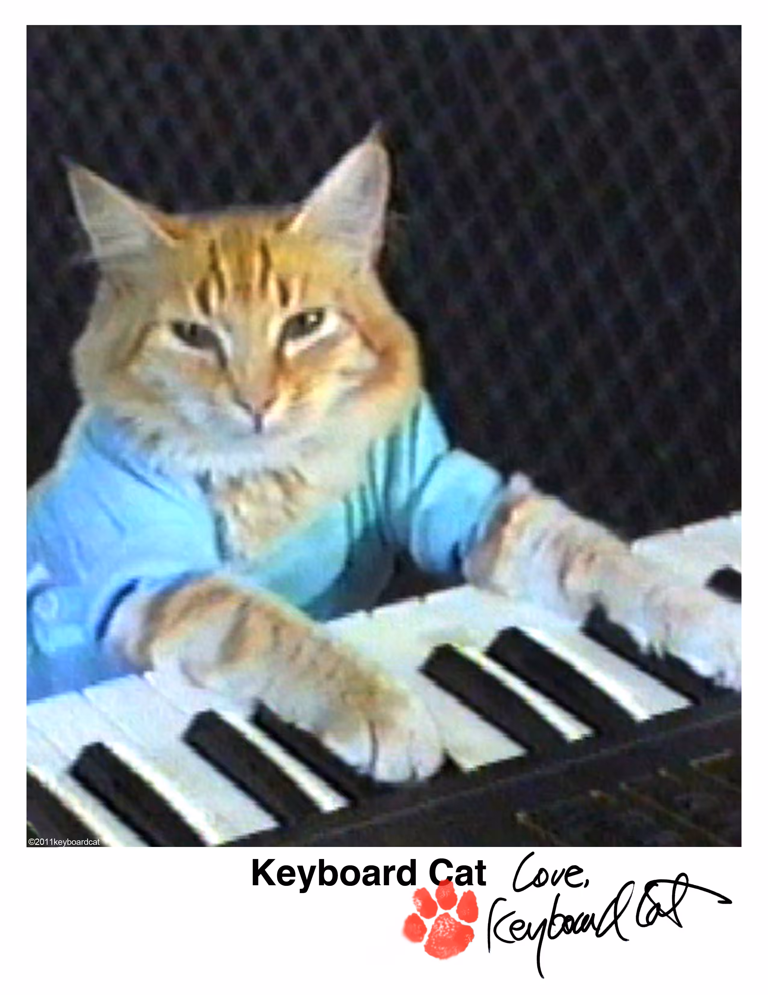 Autographed Keyboard Cat Headshot