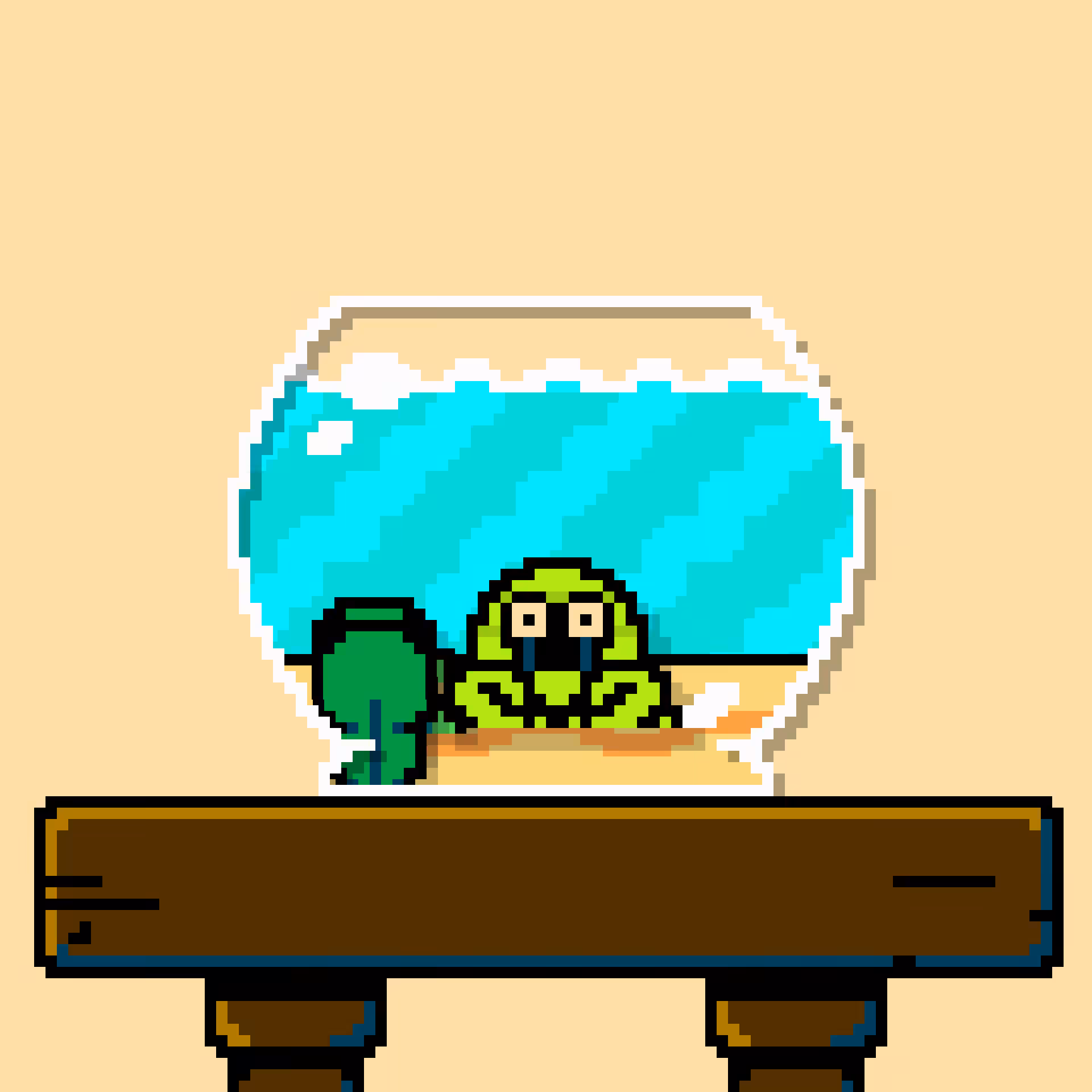 hermit crab #88