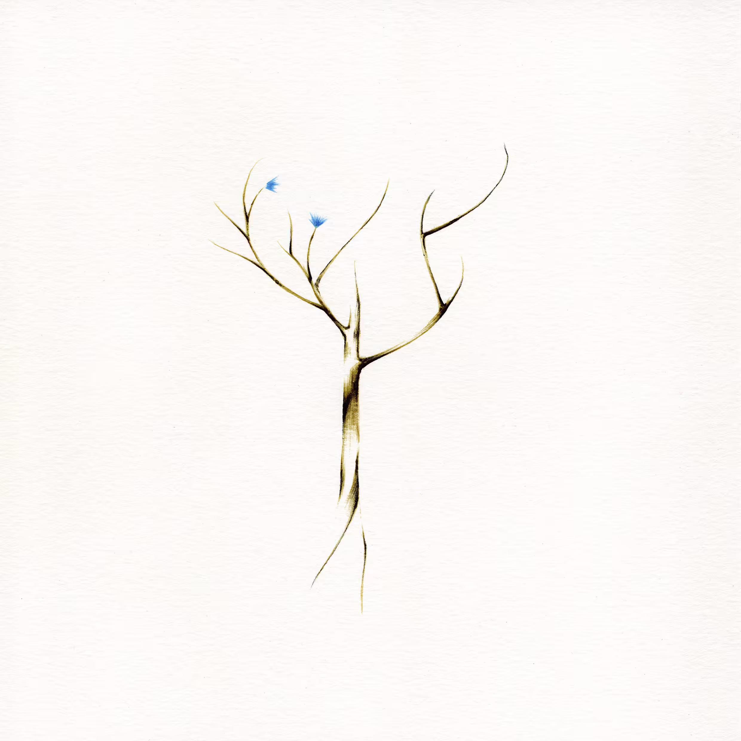 imaginary tree #1