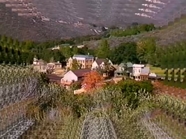 VHS ZoomScape 01