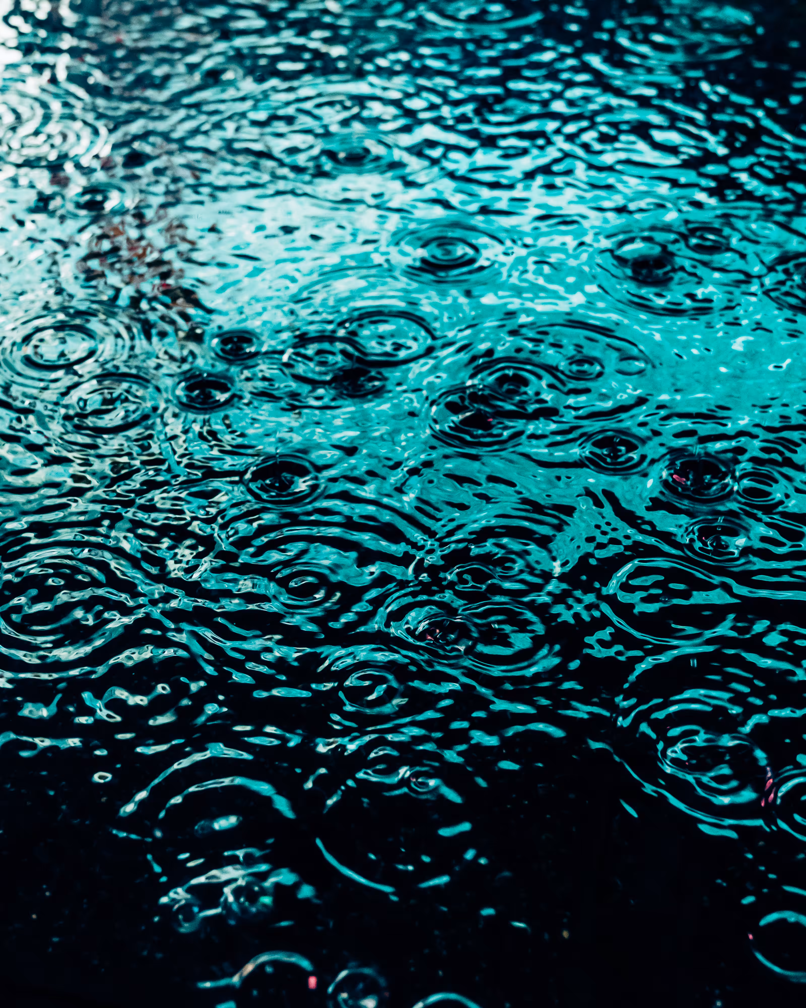 DRIP DROP: DRIP #354