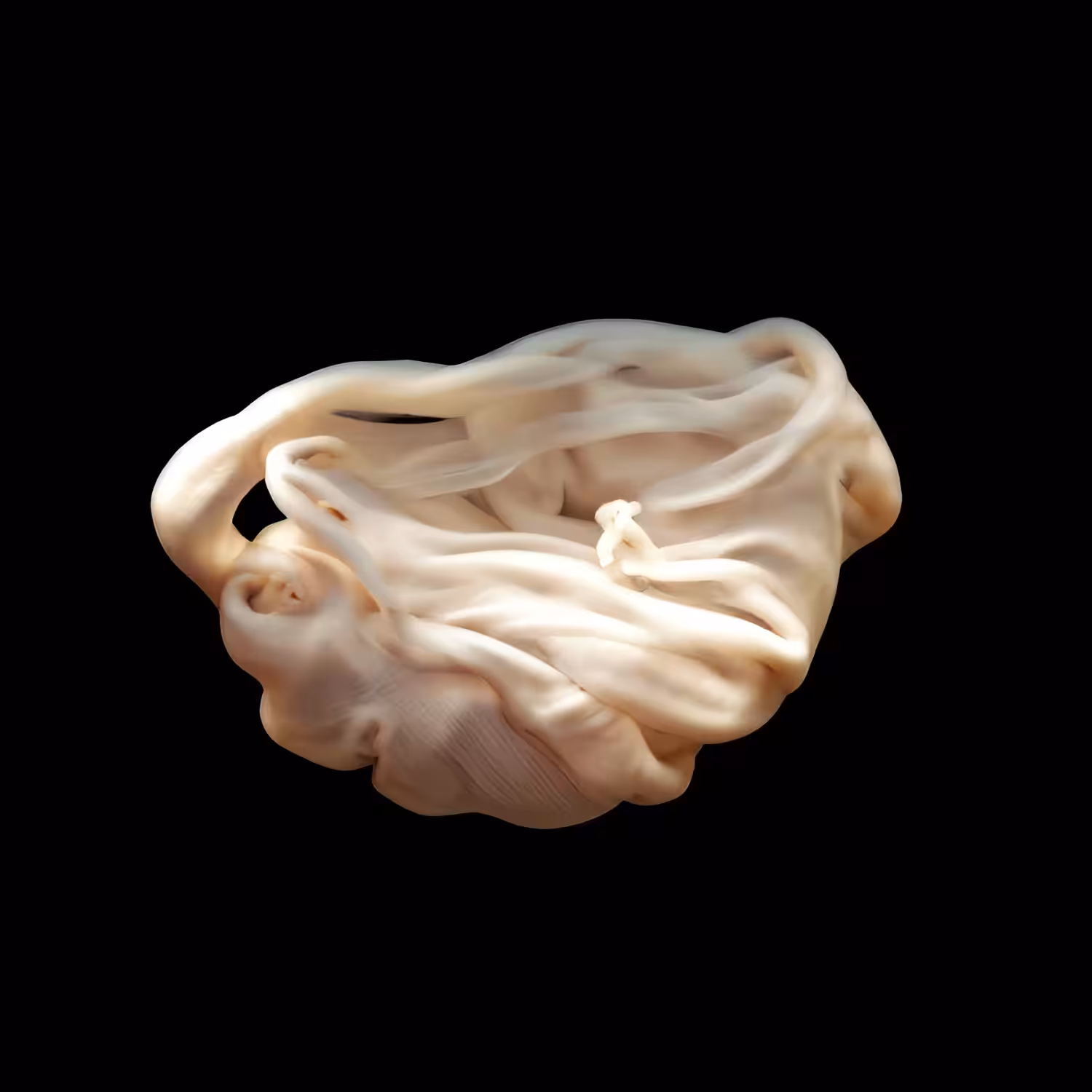 ONTOGENY - 11