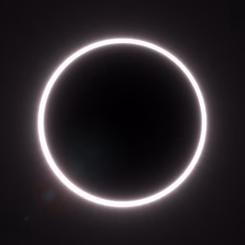 Totality #167