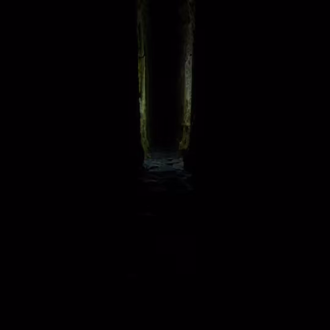 WEIRD WOODS