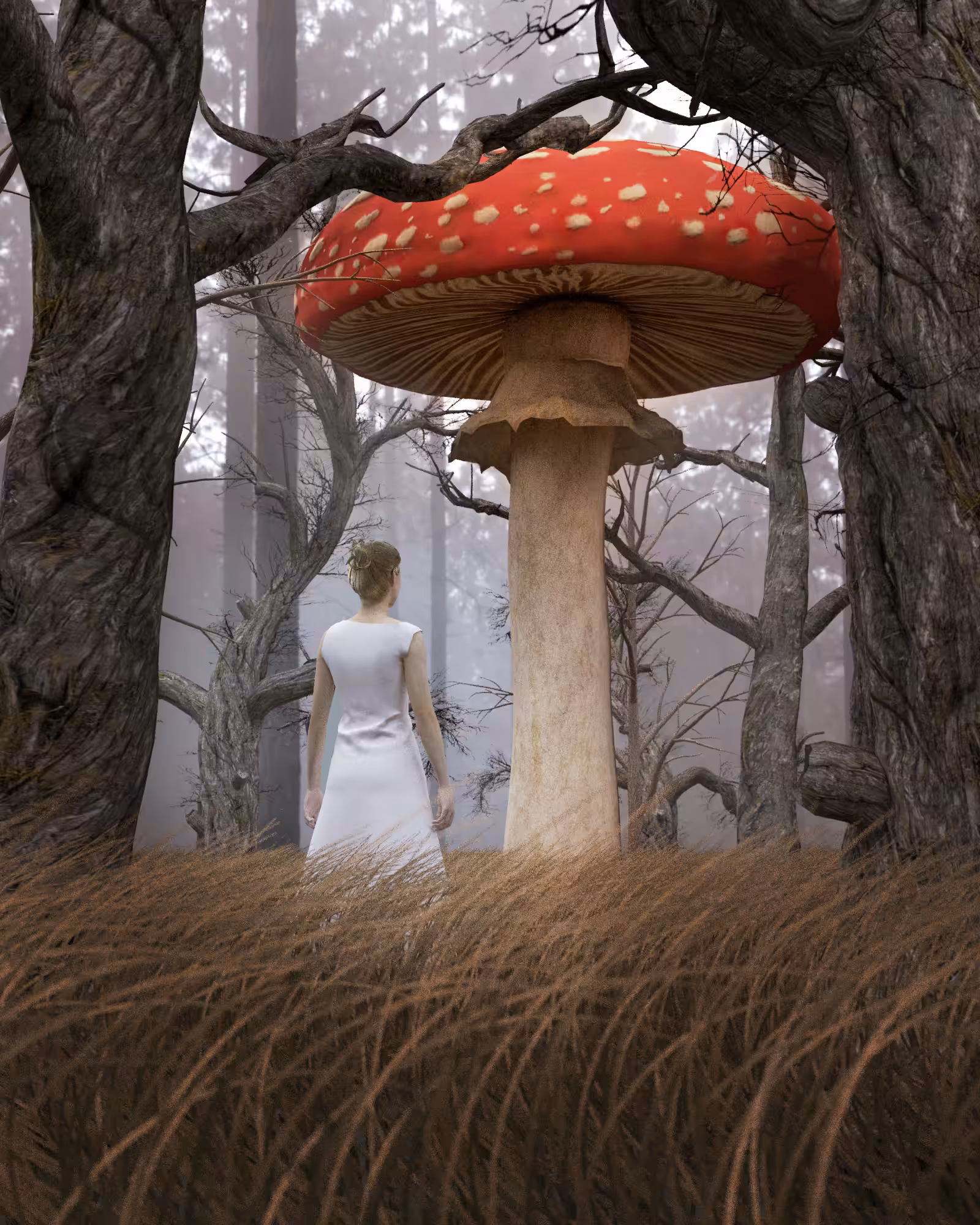 The Magic Mushroom