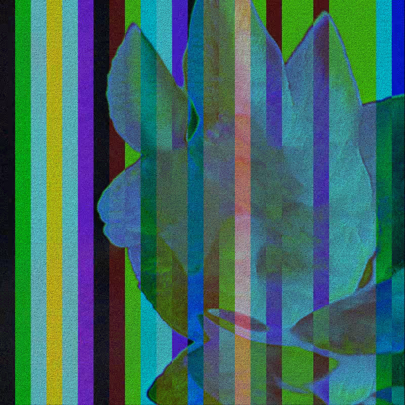 CLDCSMC #12