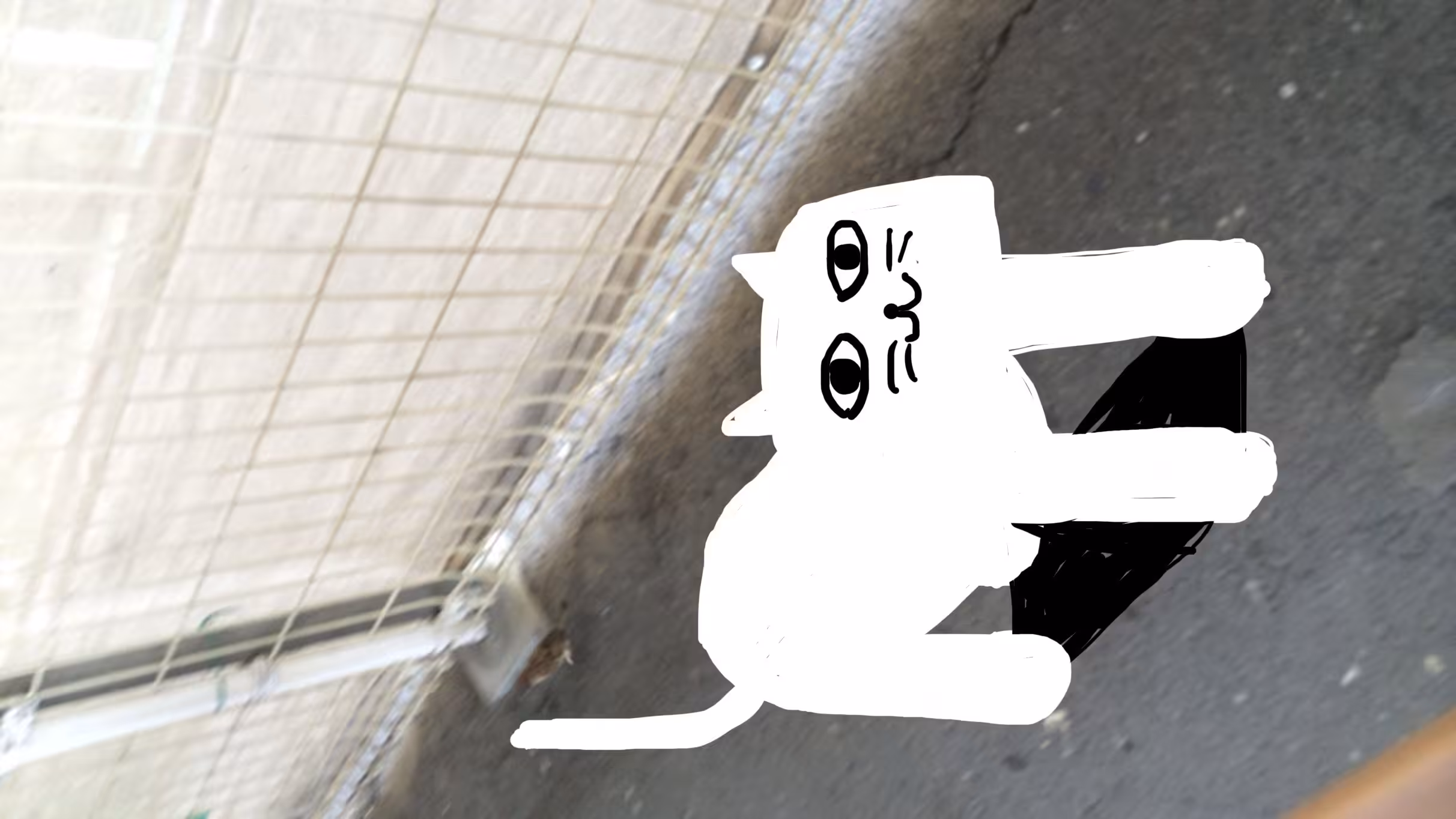 Another world cat