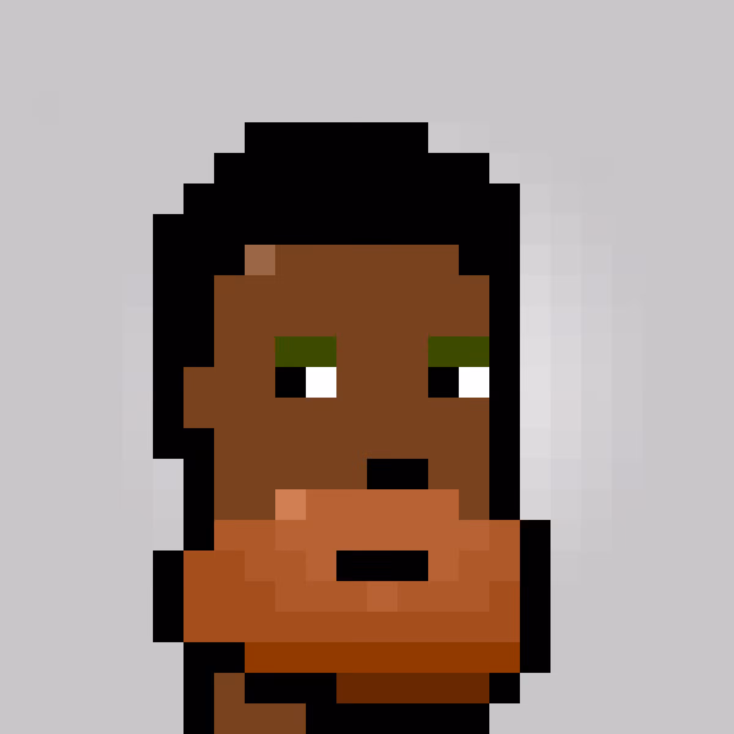 Unofficial Punks V2 #1504