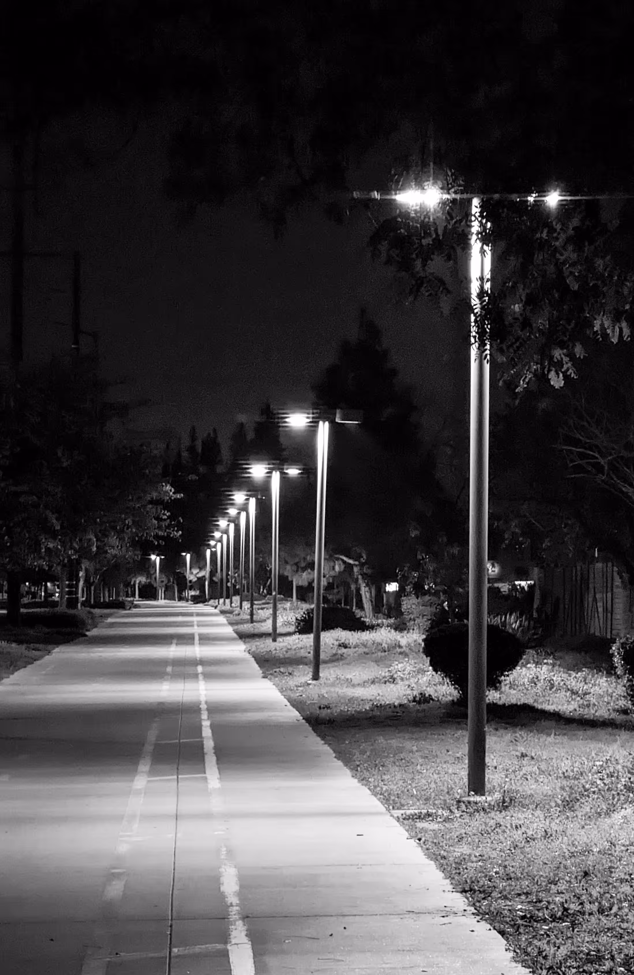 Midnight Stroll