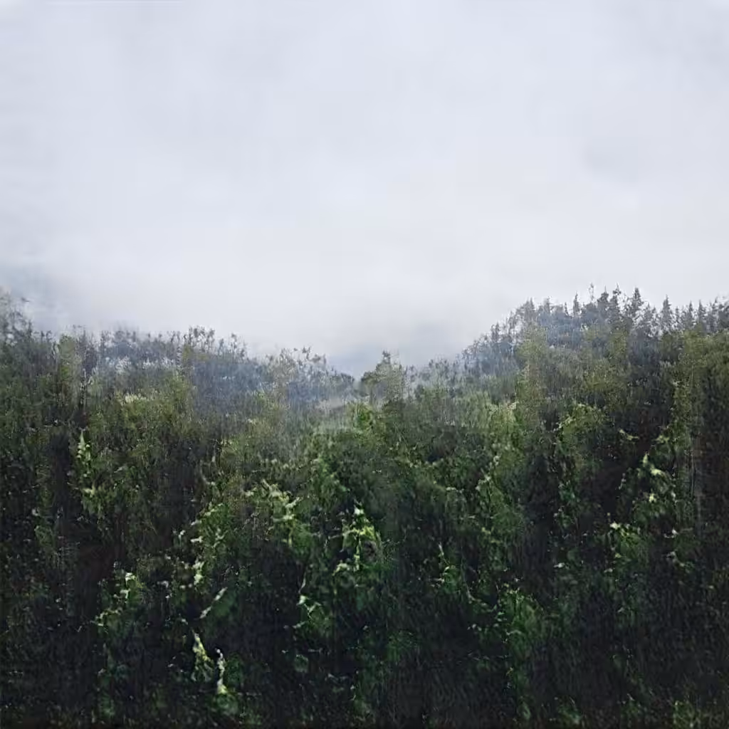 Fabricating Future Forests 0056