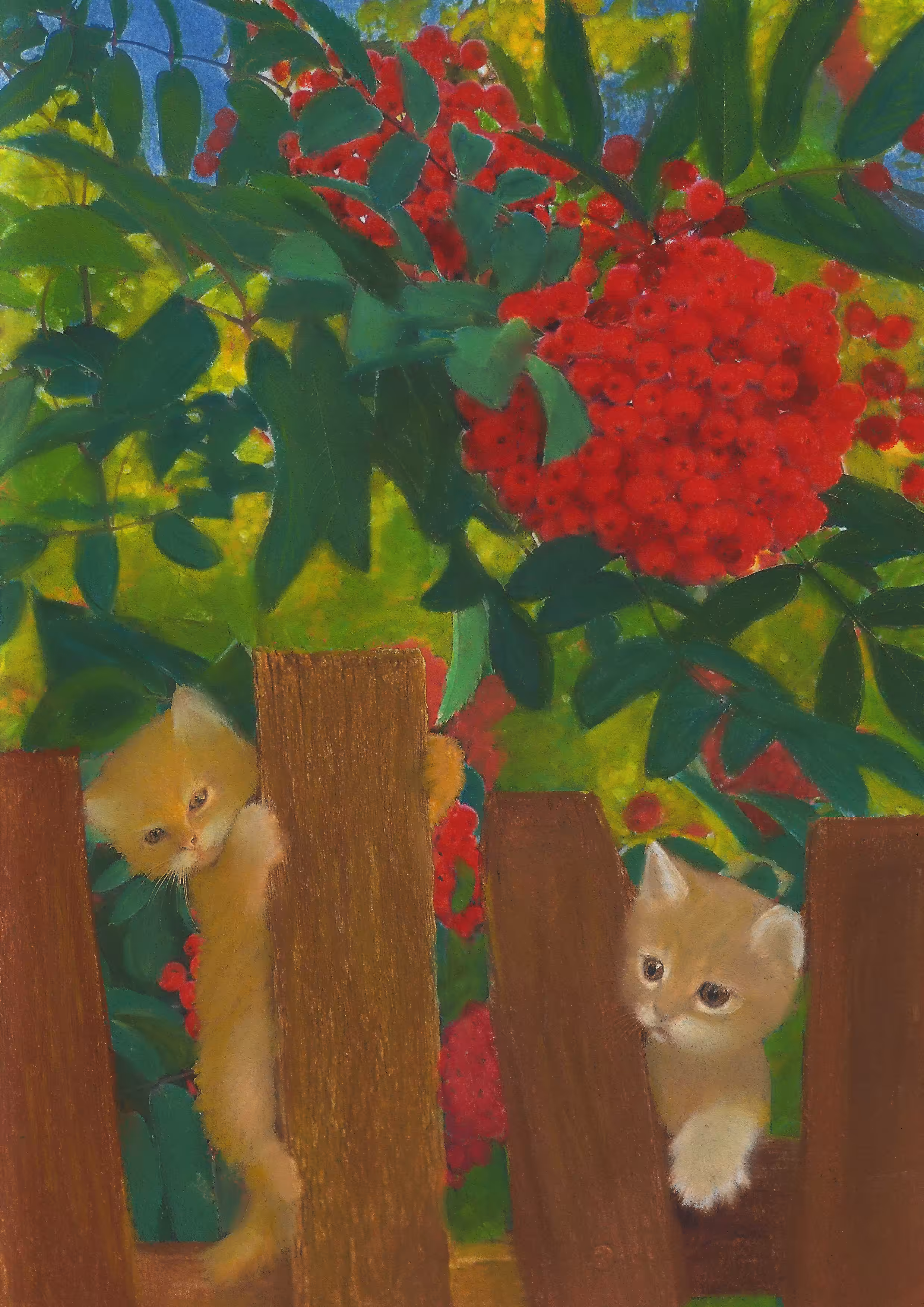 Observers 