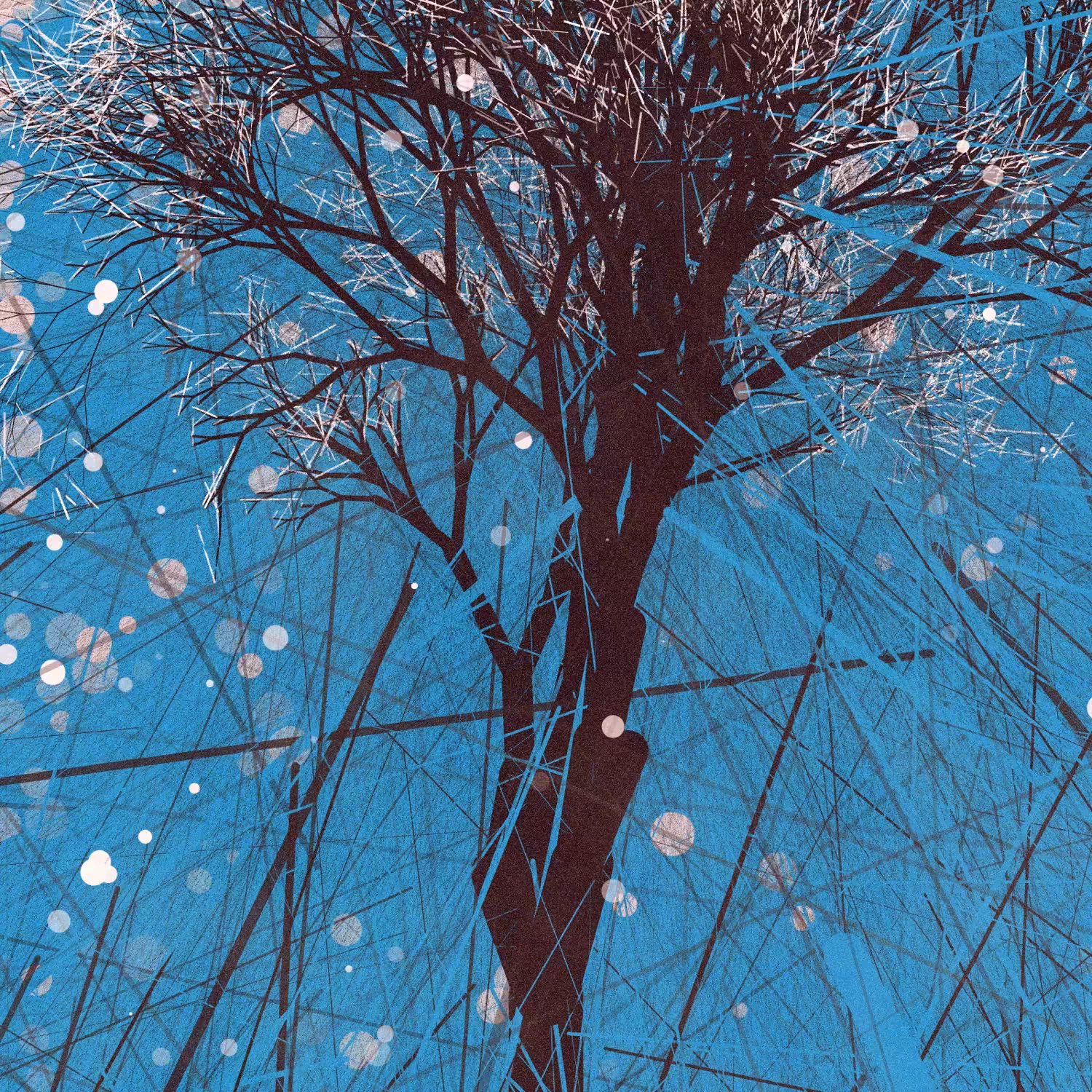 Rodeo posts: A Portrait of the Tree
