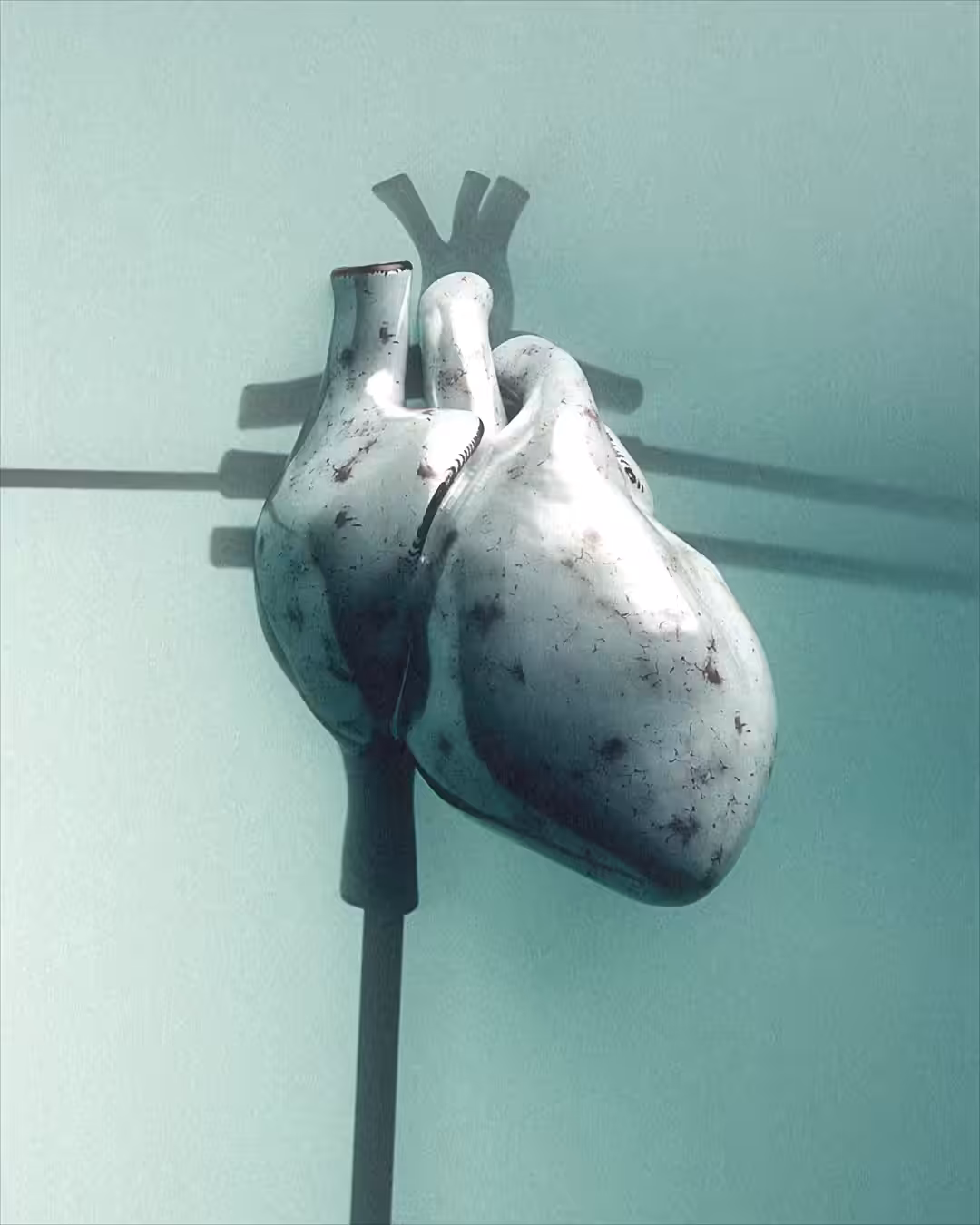 This Bleeding Heart