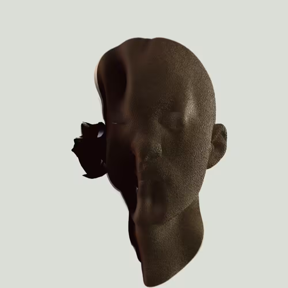 GoldHead n1