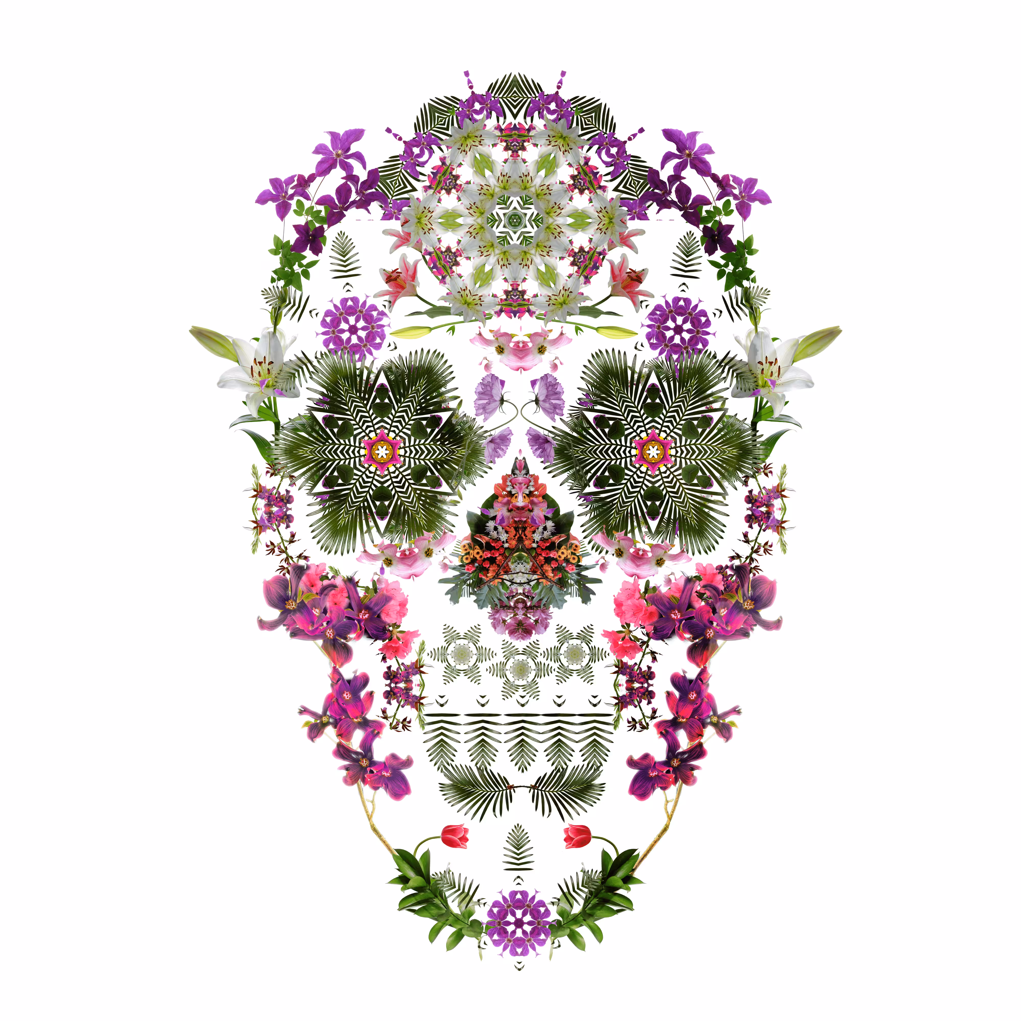 Dream Skull