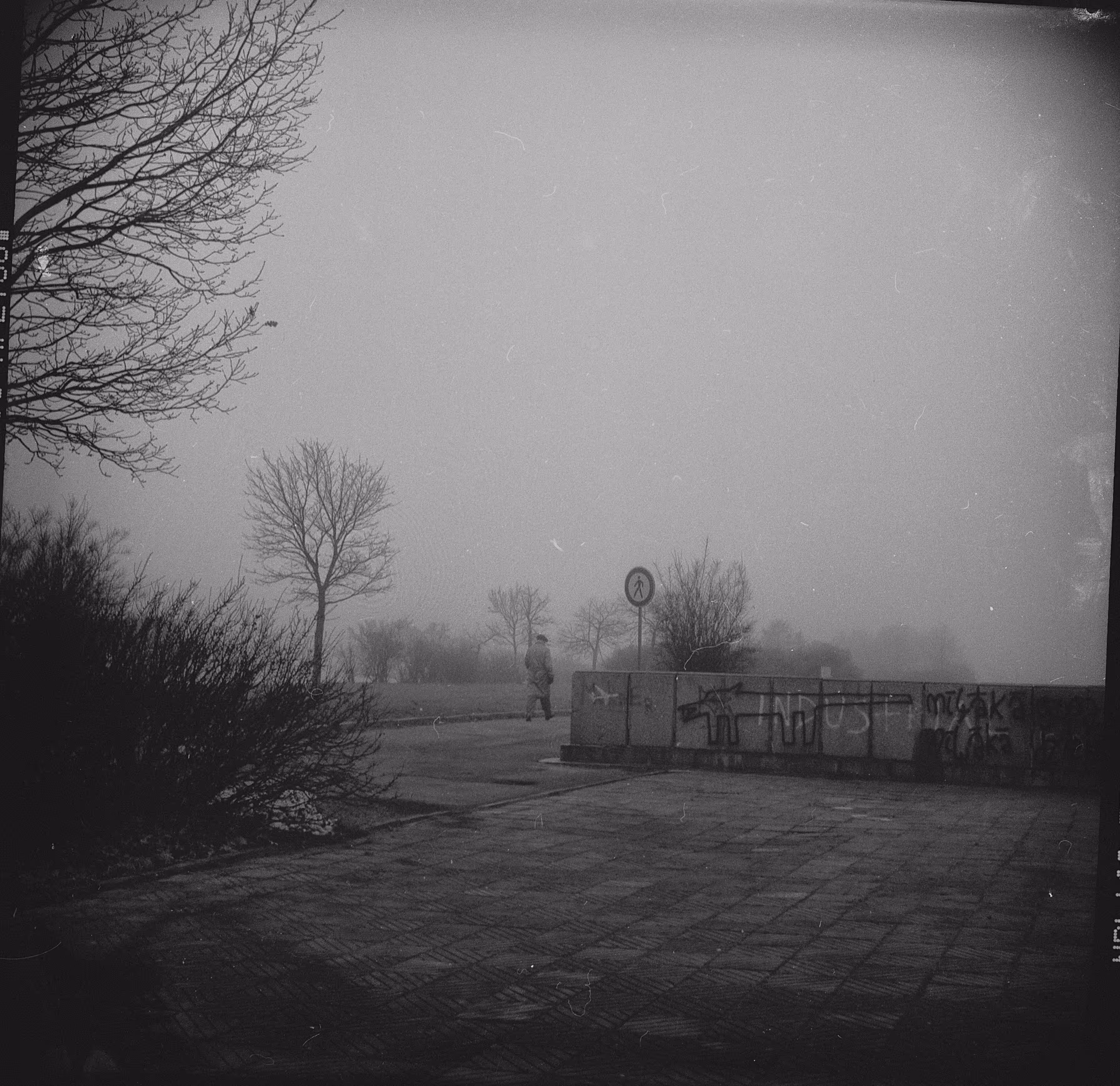Nebbia 1