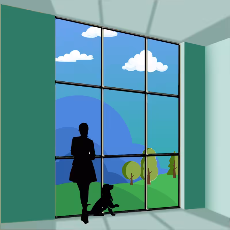 both sides of the Window #29