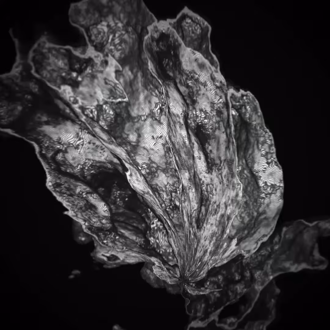 Growth #002