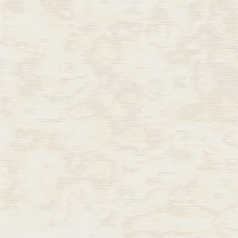 Petri 1500 #690