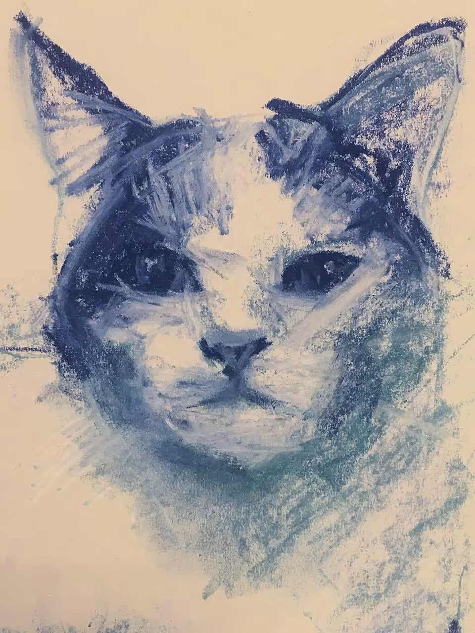 CATS.: Bella.