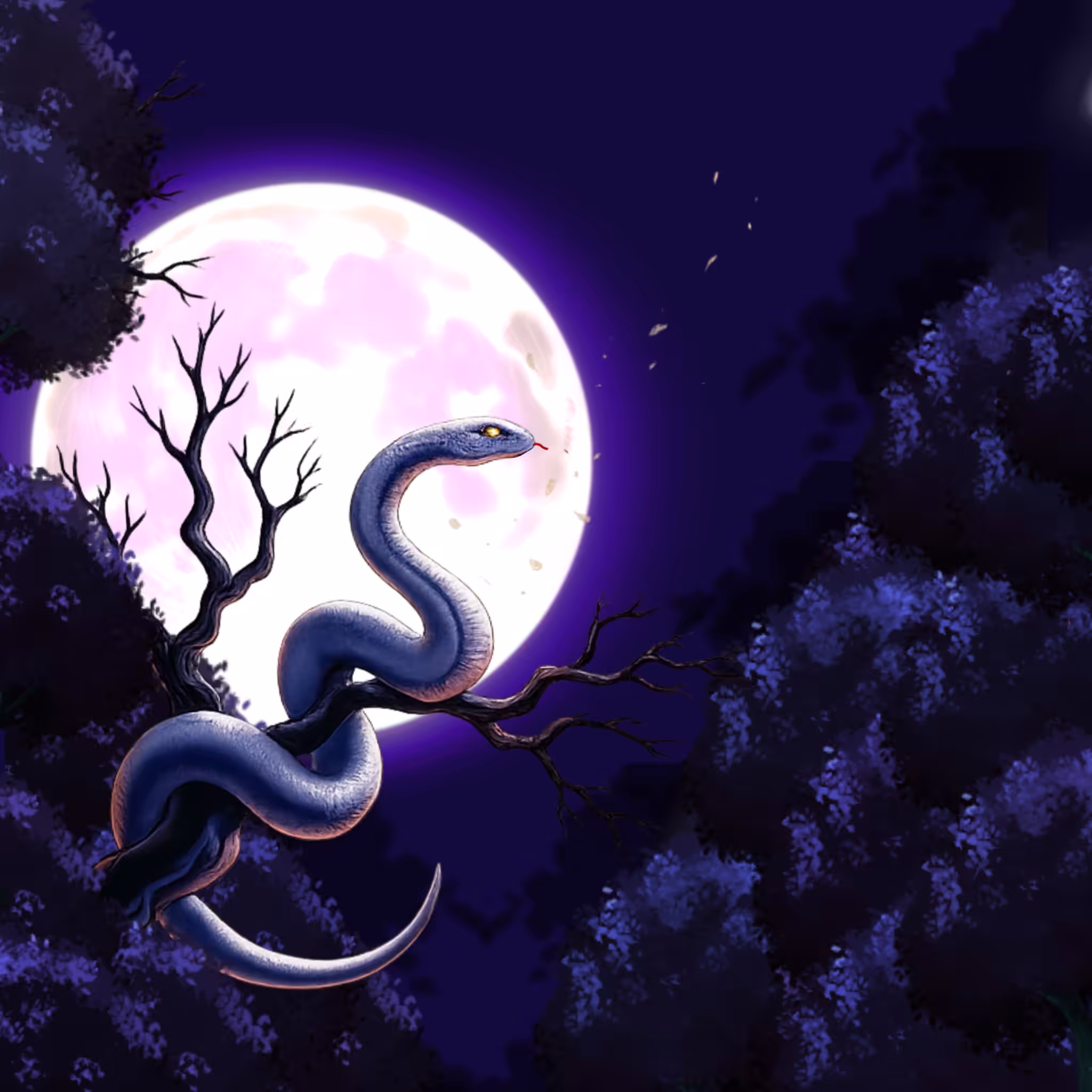 An unforgettable forest mystery