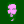 The Tinkerer