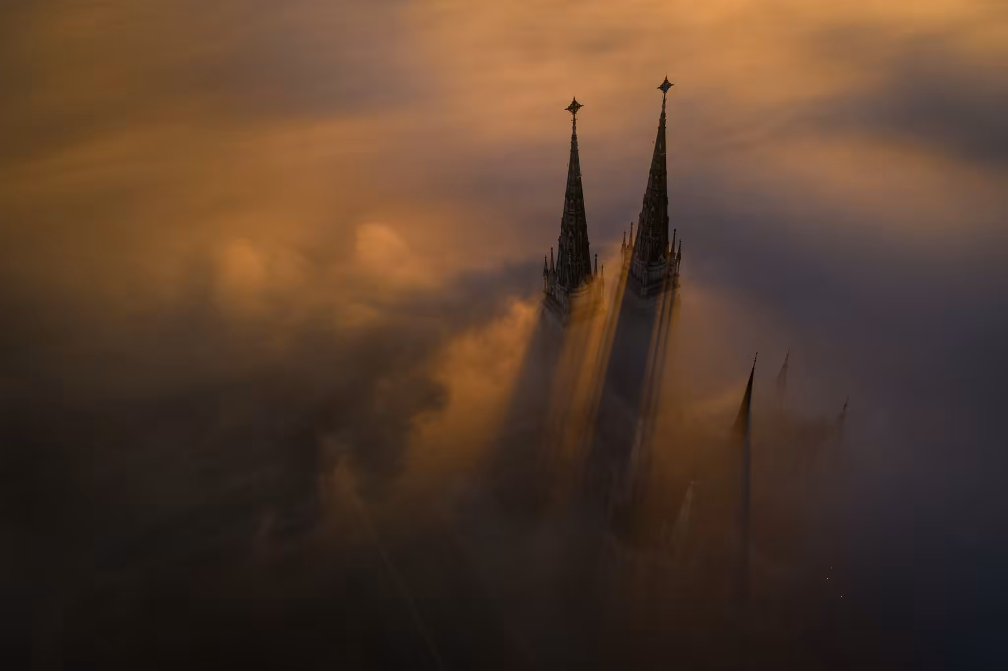 The Fog