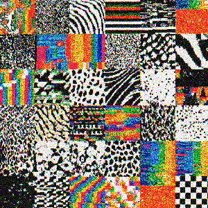 Fracture #16