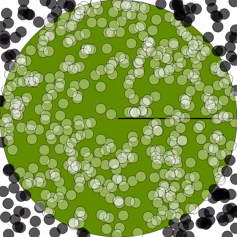 (π) #8