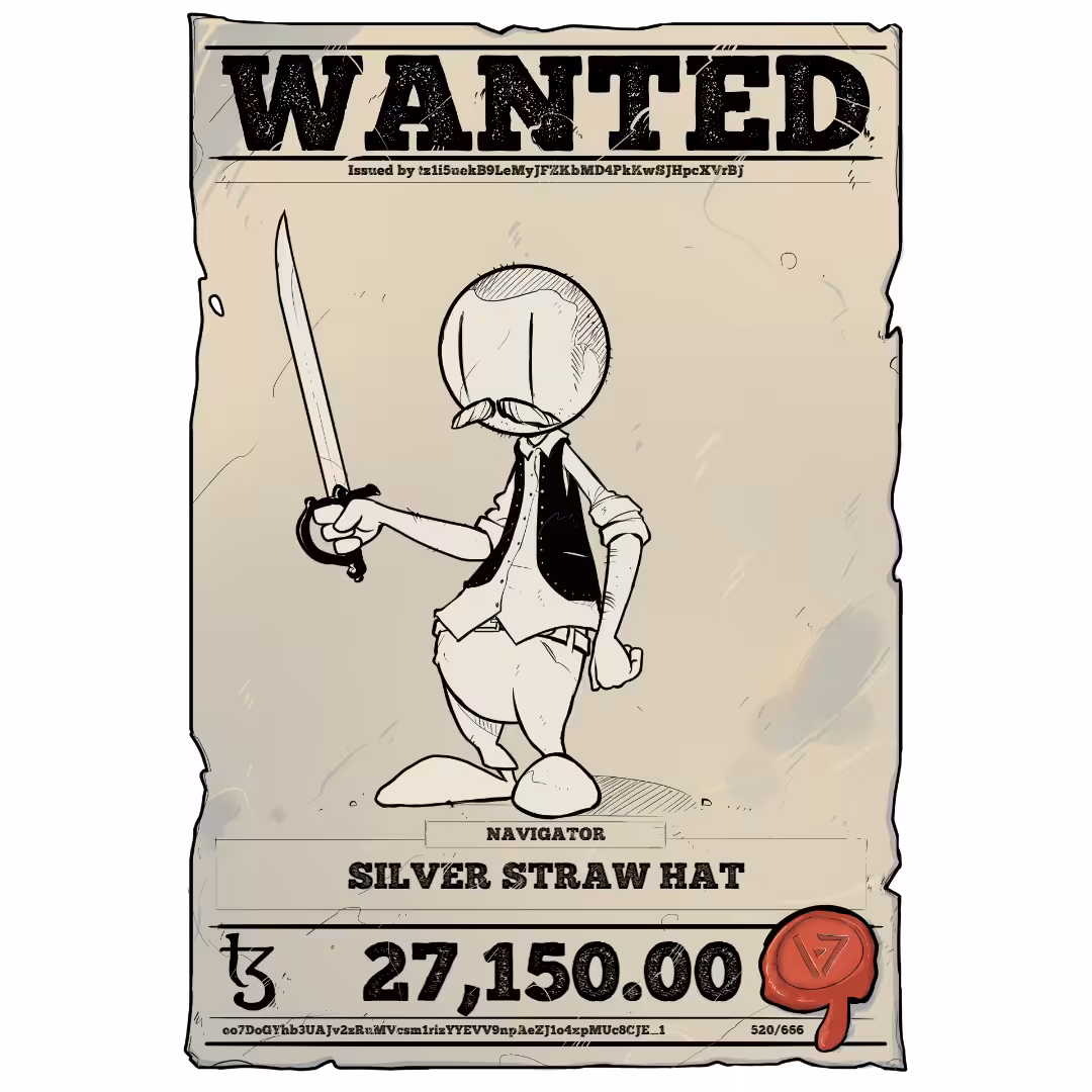 SILVER STRAW HAT | TEZOS PIRATE 520/666