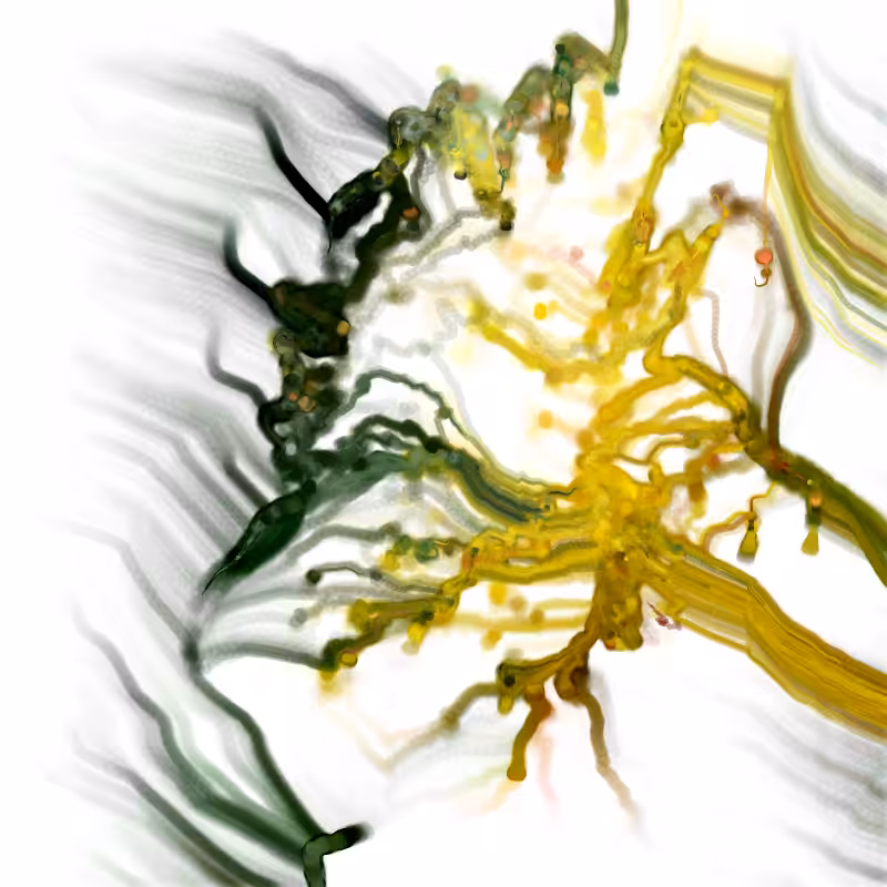 Hypericum #231