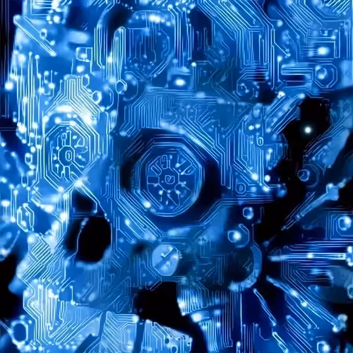 SYNAPSIS