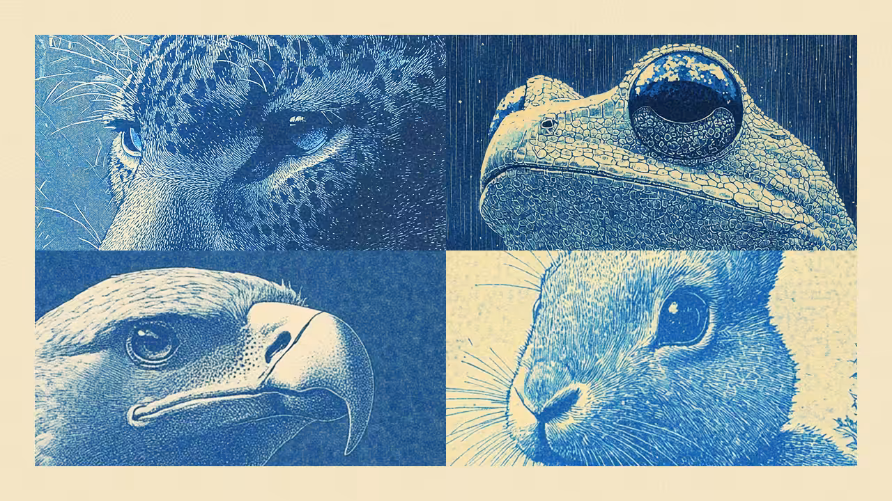 WIP