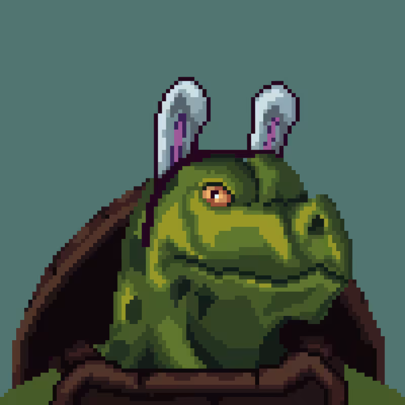 Turtles #42