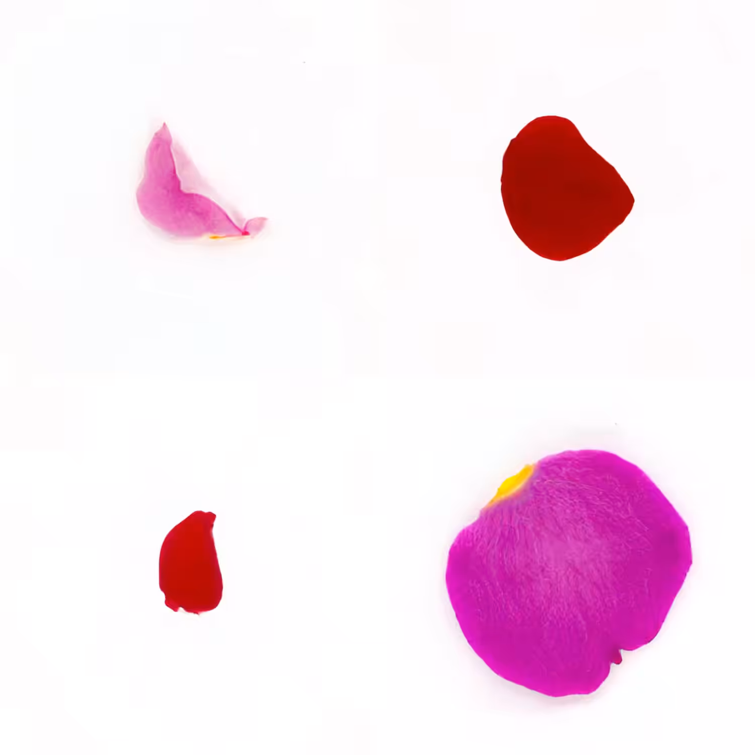 Infinite Petals 2x2#3699