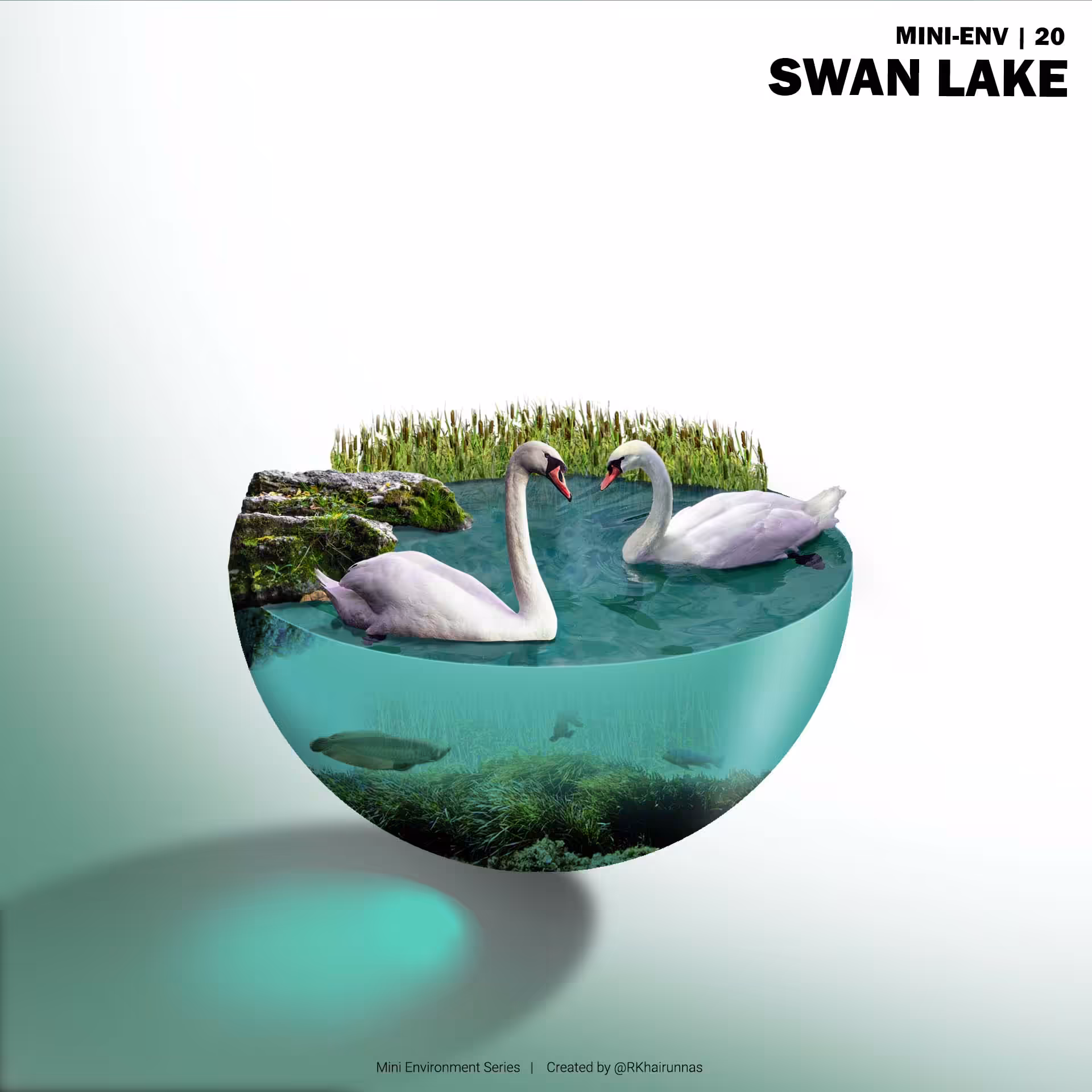 SWAN LAKE