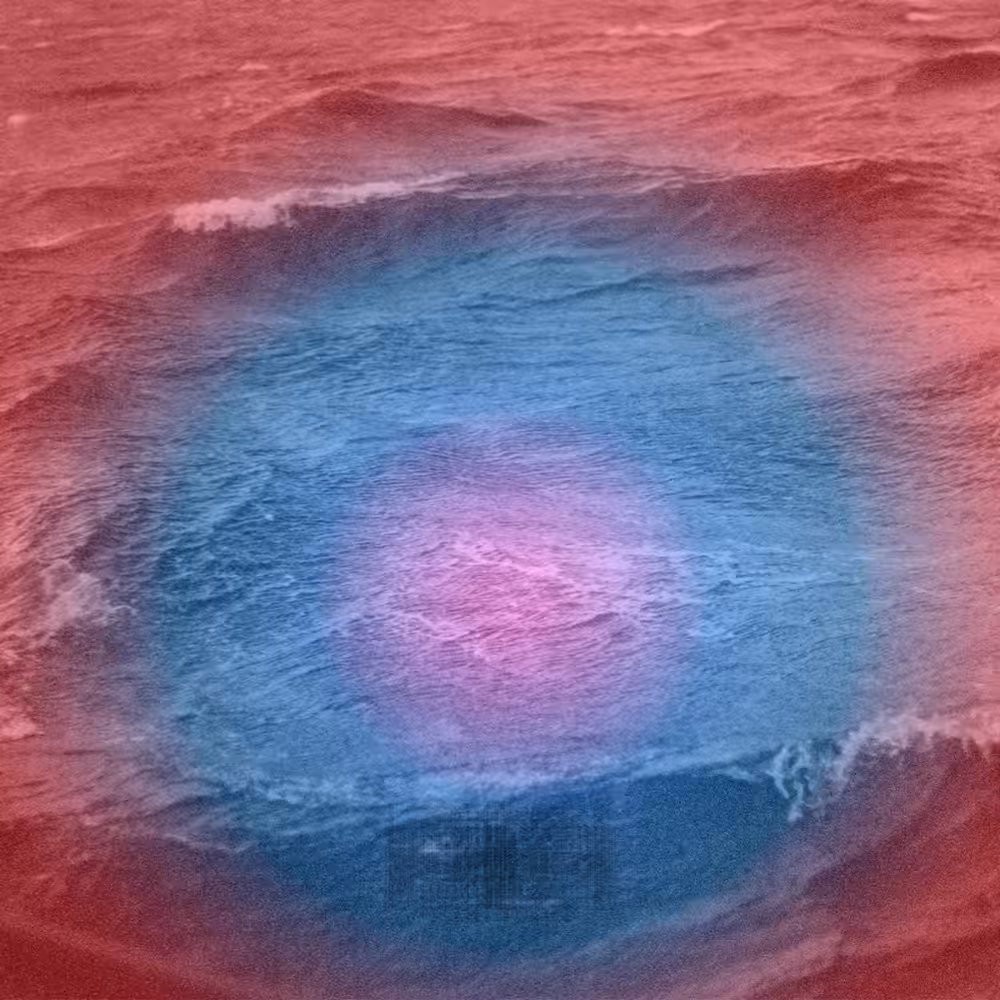 #79