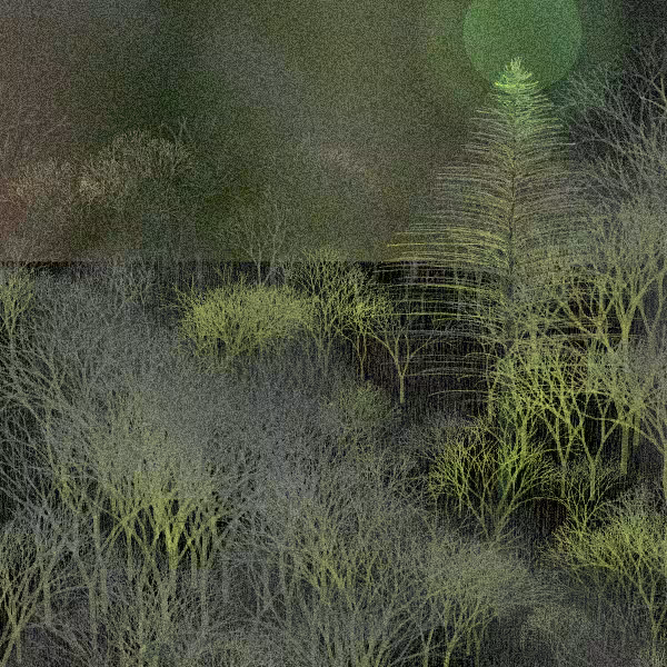 Moonlit Native Bush #92