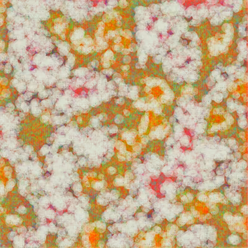 Petri 1500 #501