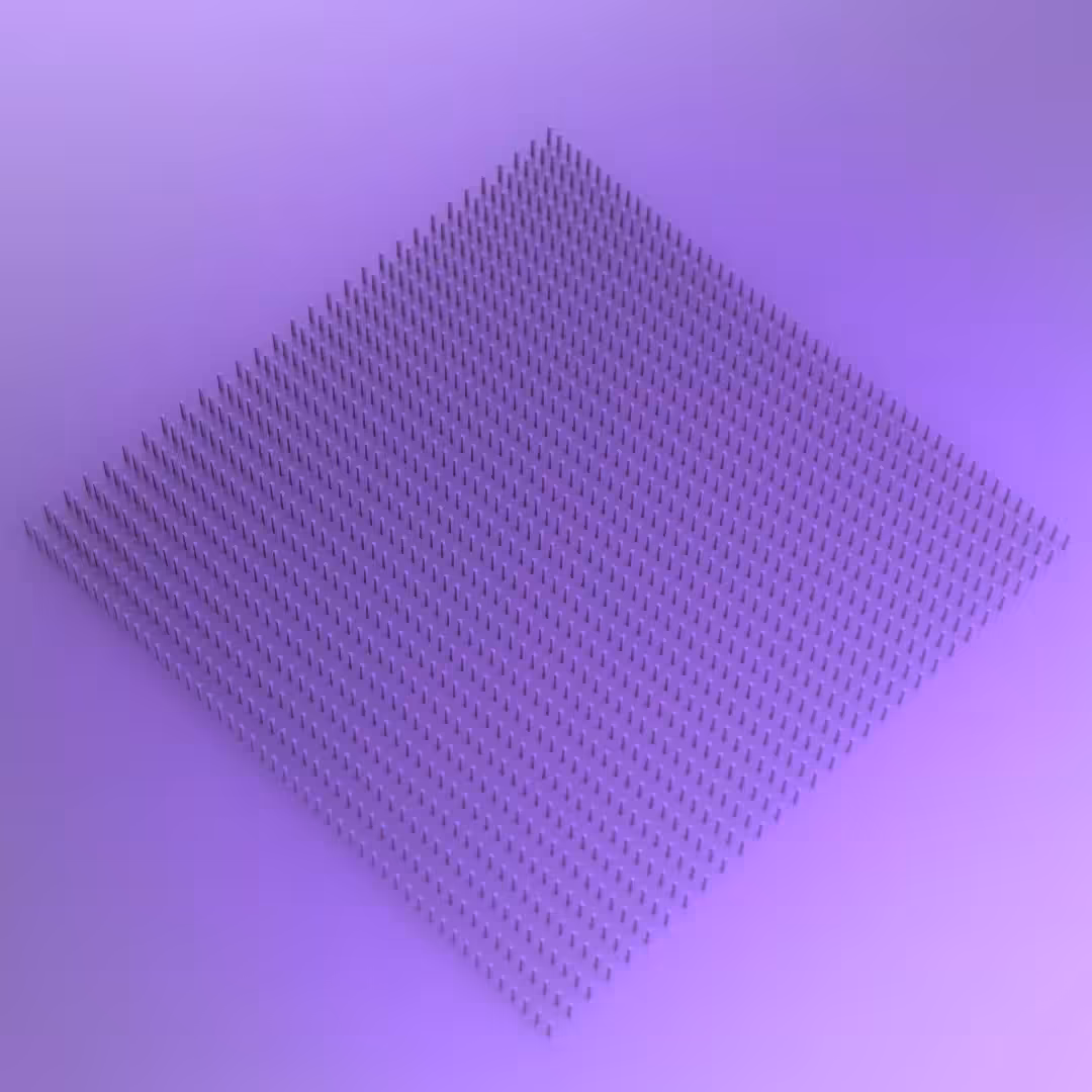 points of a dot_flies eye