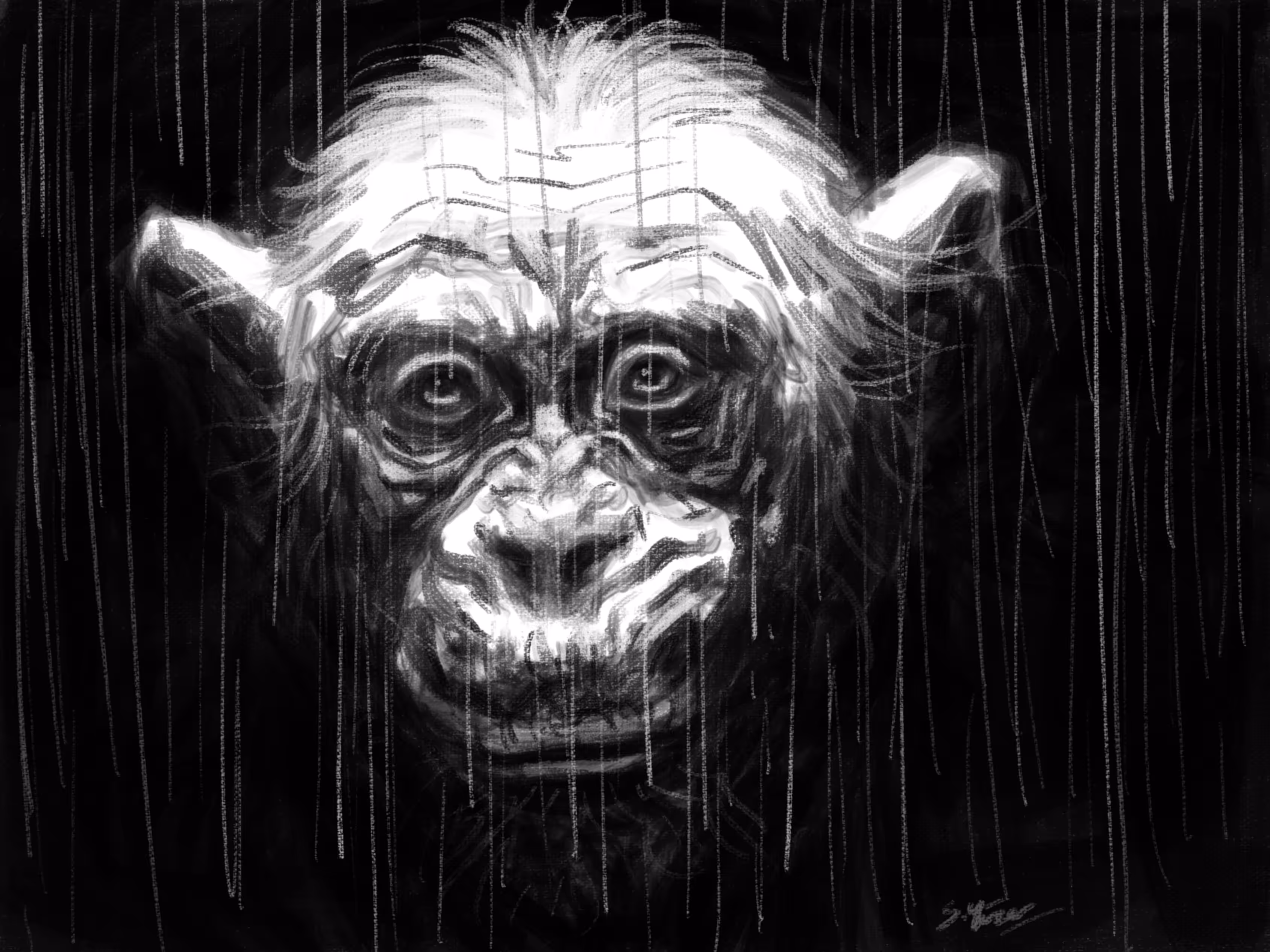 Wise Ape