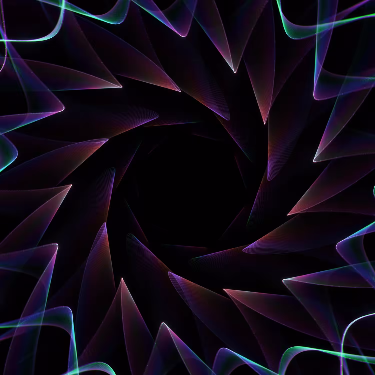 Rose Curves | Aster
