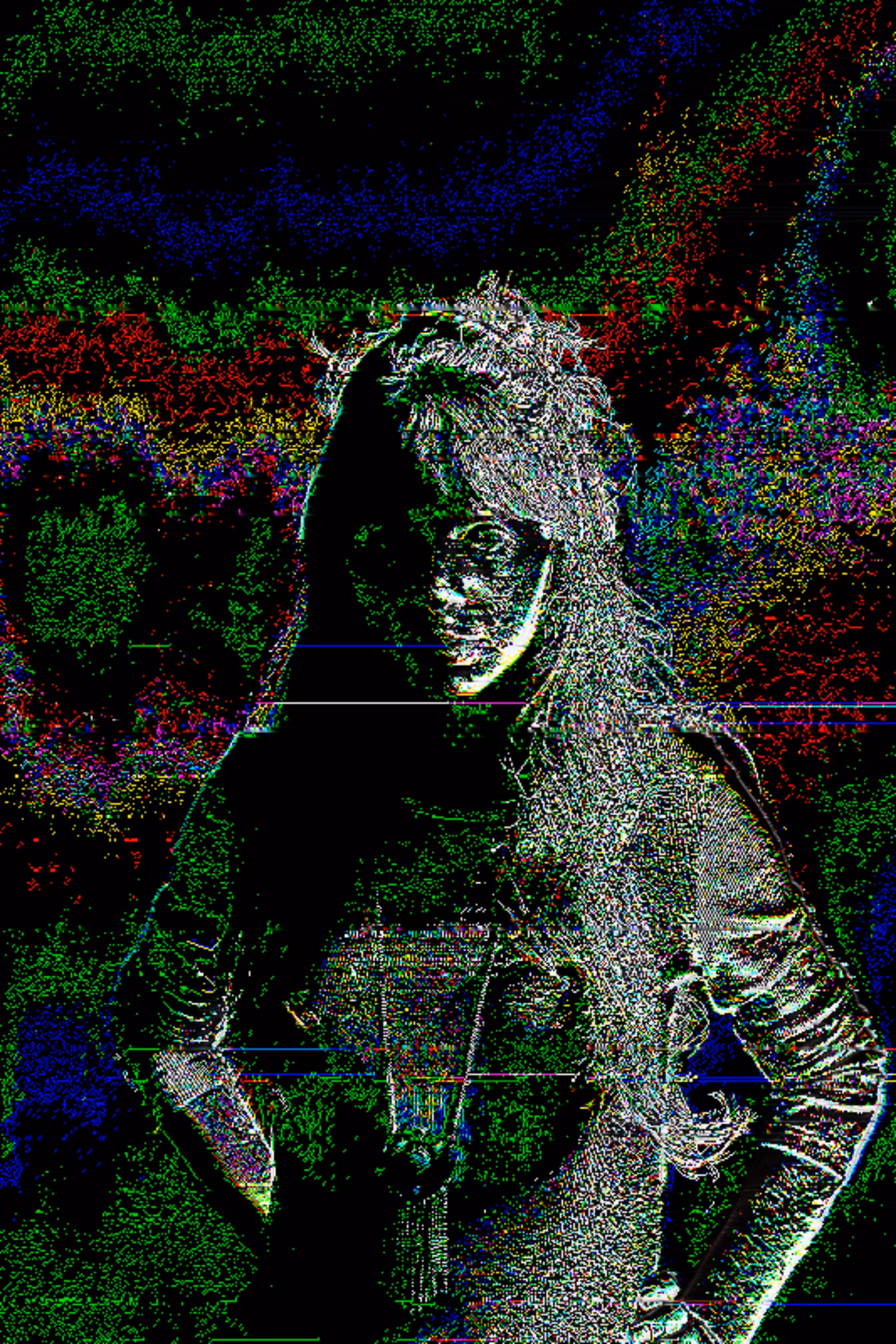noise portrait