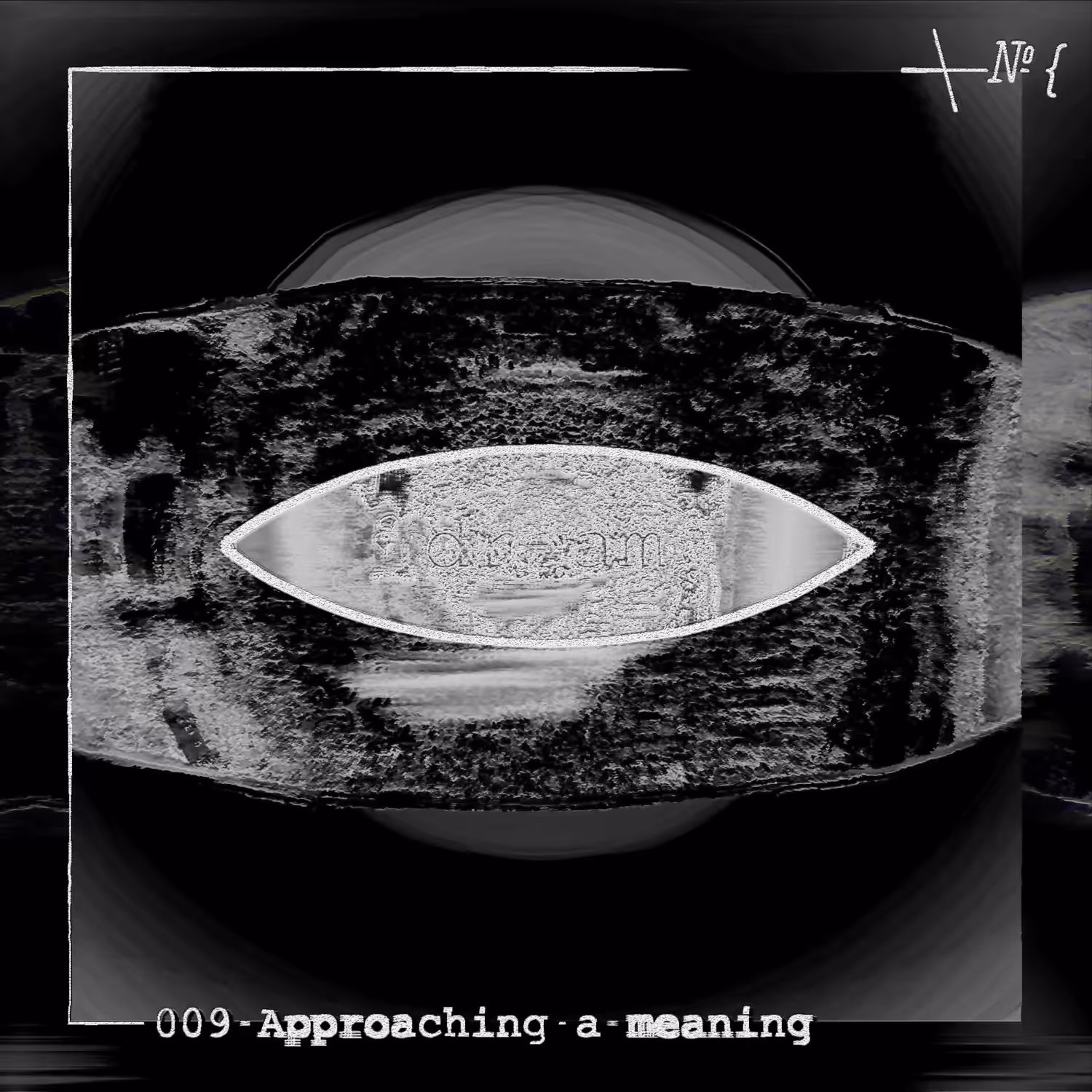 009 Approaching a meaning
