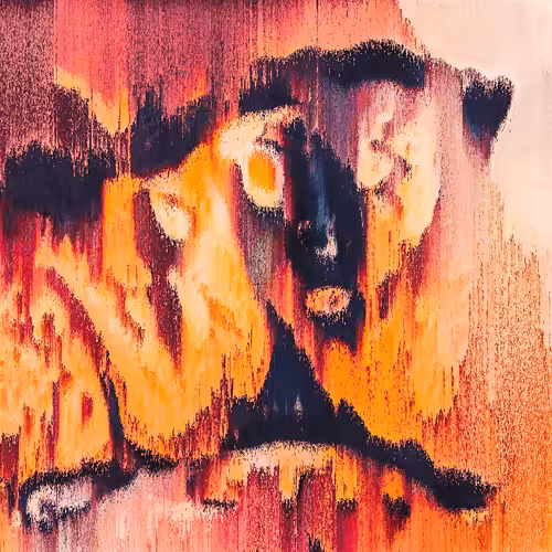 burning like a phoenix