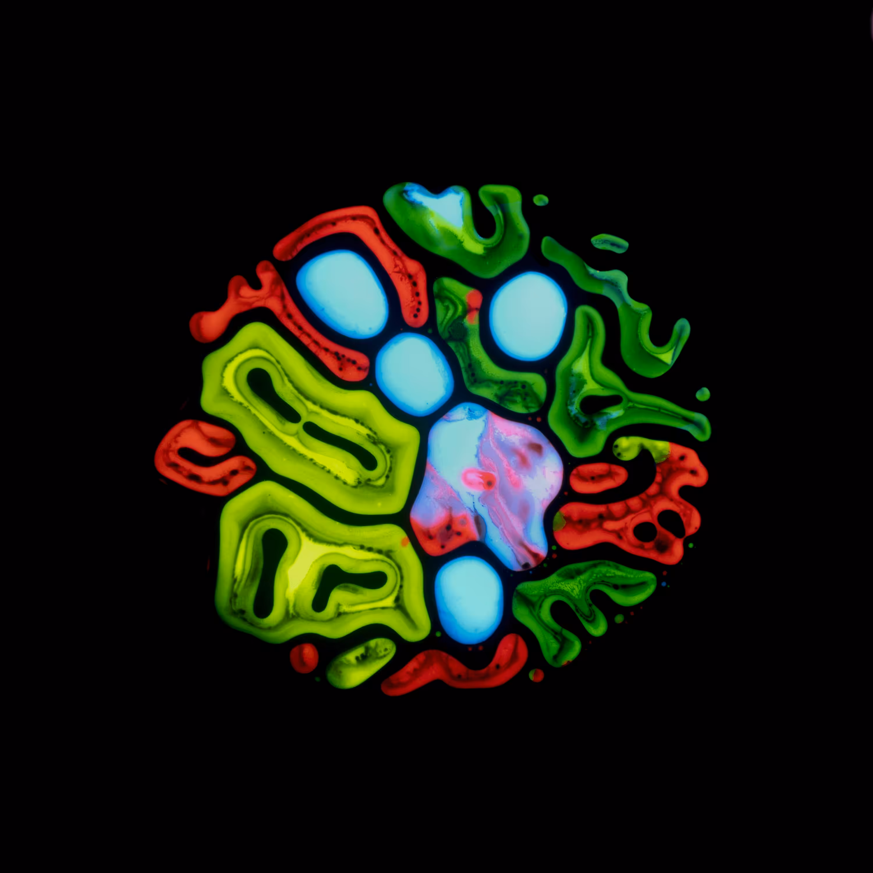 Haematopoiesis #50