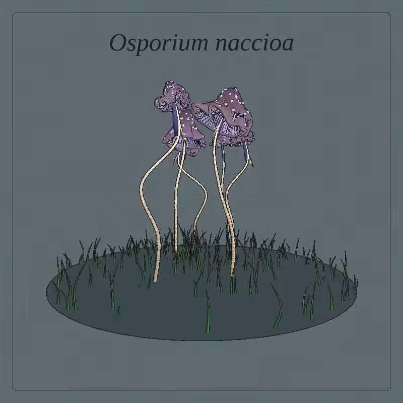 SHROOMS 3D #37