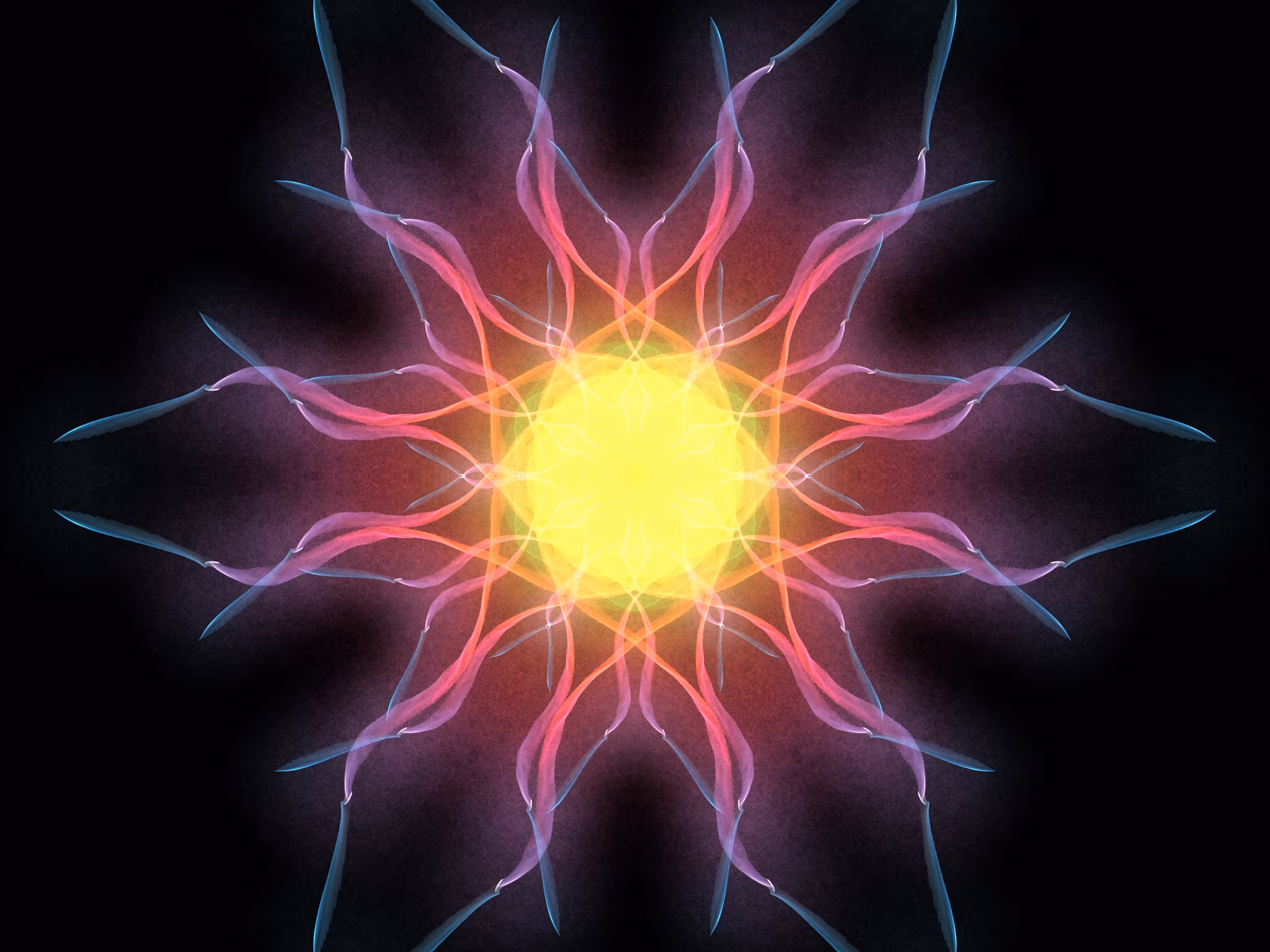 Star #8