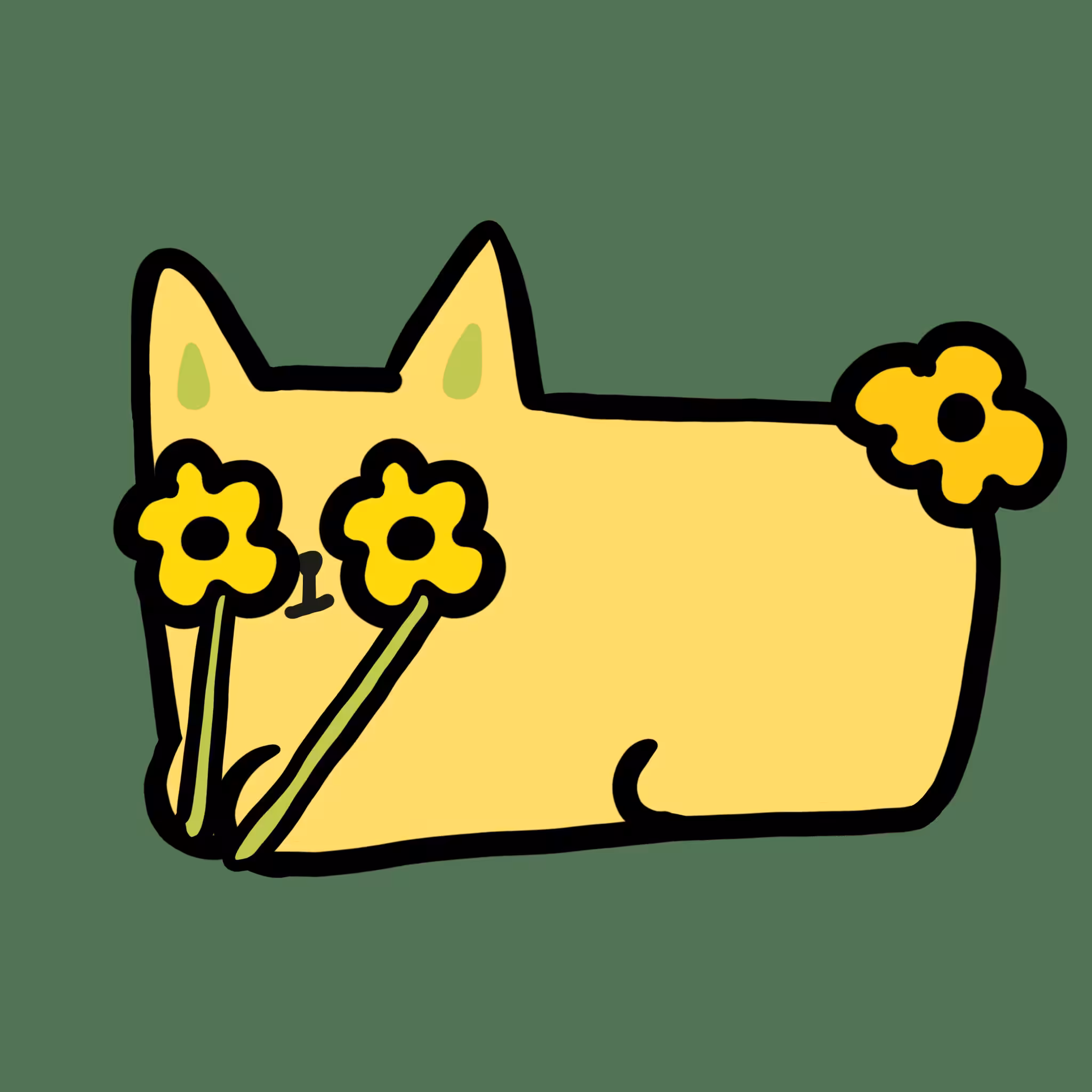 Sunny Cat 43
